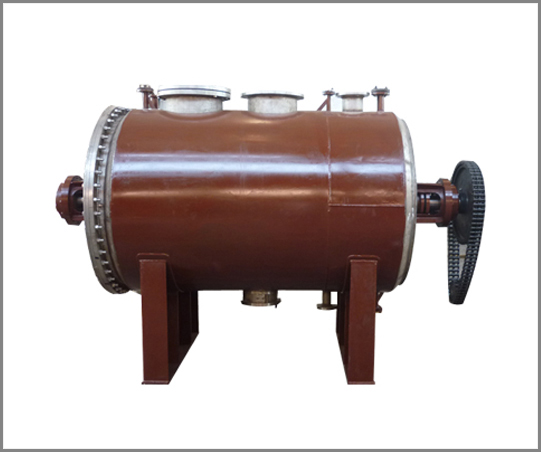 Rotary Vacuum Dryer